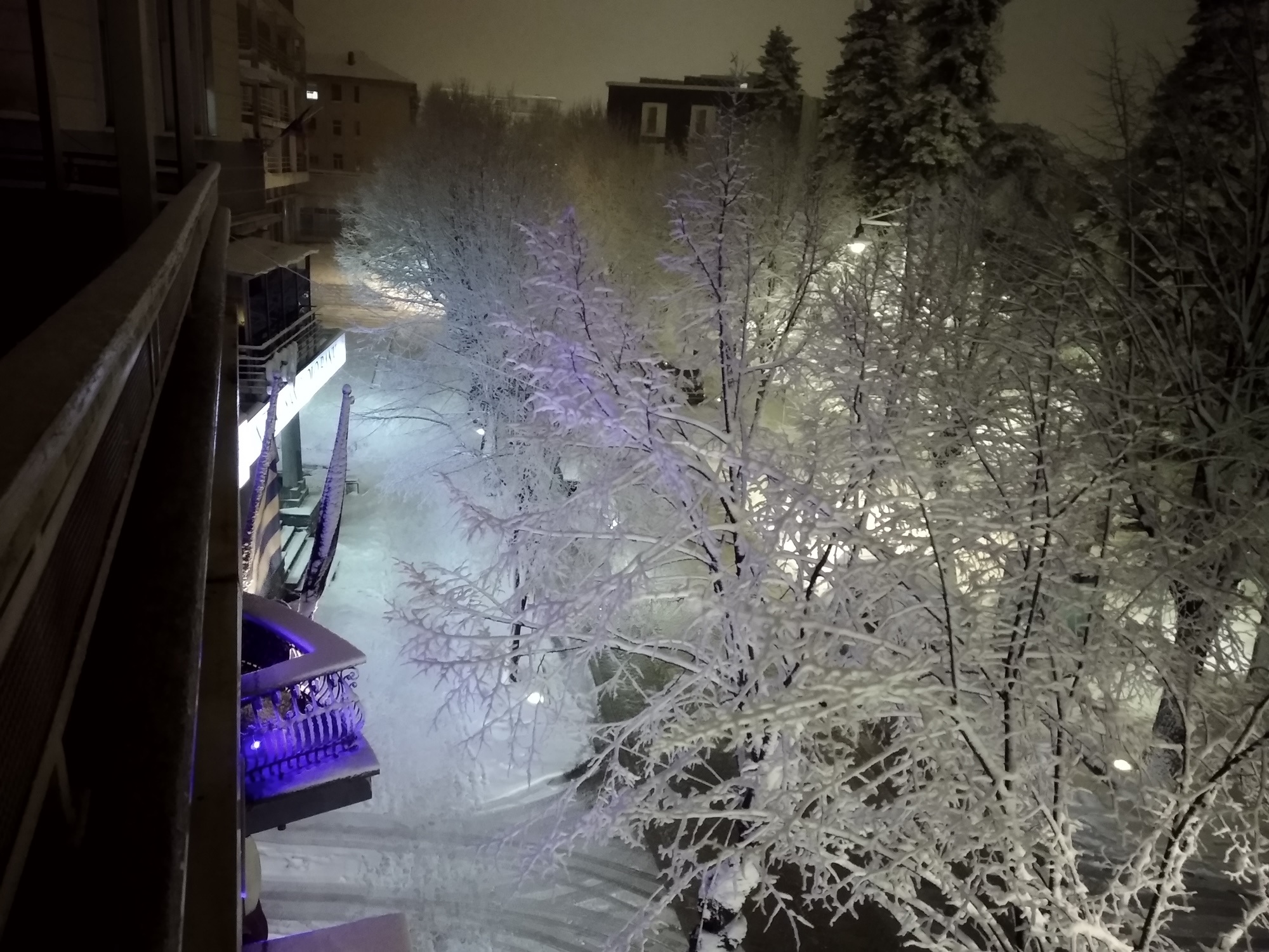 Πυκνή χιονόπτωση στην Κορυτσά