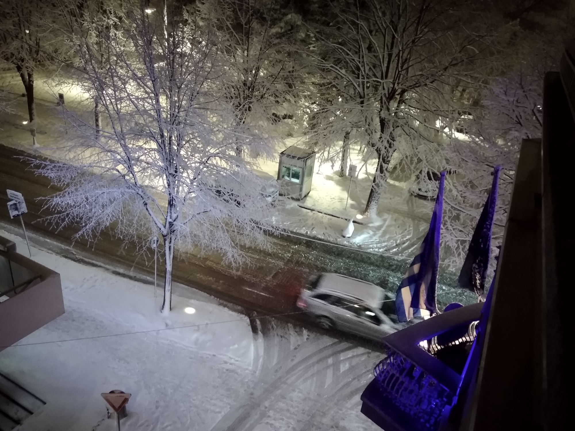 Πυκνή χιονόπτωση στην Κορυτσά