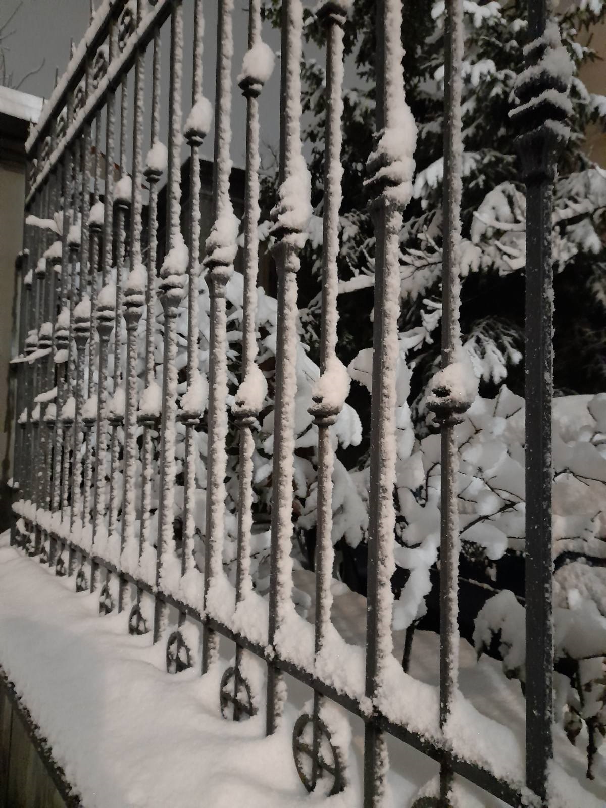 Πυκνή χιονόπτωση στην Κορυτσά