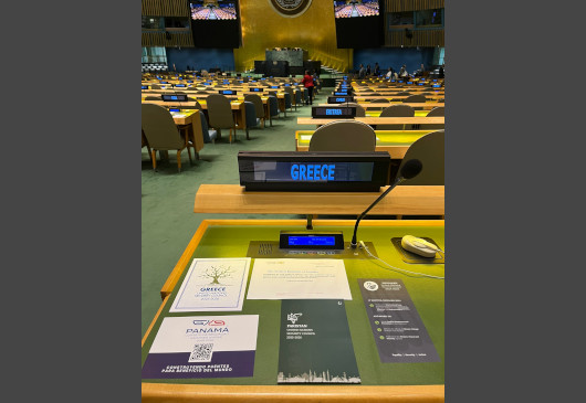 Εκλογή της Ελλάδας ως μη-μόνιμου μέλους του Συμβουλίου Ασφαλείας των Ηνωμένων Εθνών για την περίοδο 2025-2026 (Νέα Υόρκη, 06.06.2024)