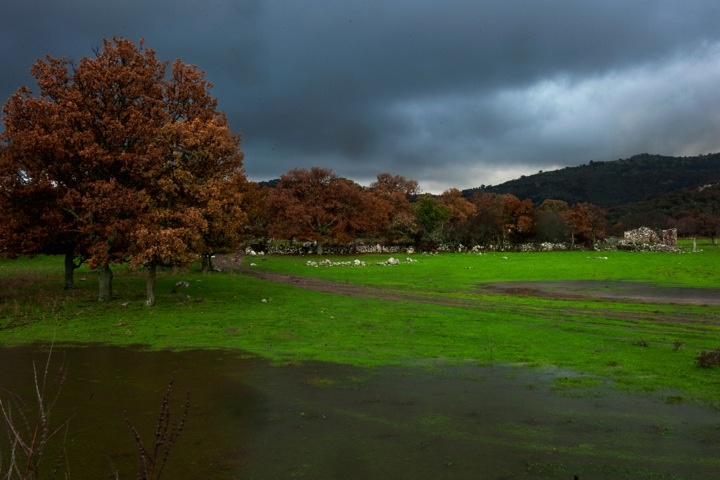 “Aura from the Island of Sappho”