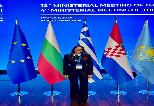 Συμμετοχή Γενικής Γραμματέως Ενέργειας και Ορυκτών Πρώτων Υλών, κας Δέσποινας Παληαρούτα, στις Υπουργικές Συνόδους των Γνωμοδοτικών Συμβουλίων Νοτίου Διαδρόμου Φυσικού Αερίου και Πράσινης Ενέργειας 