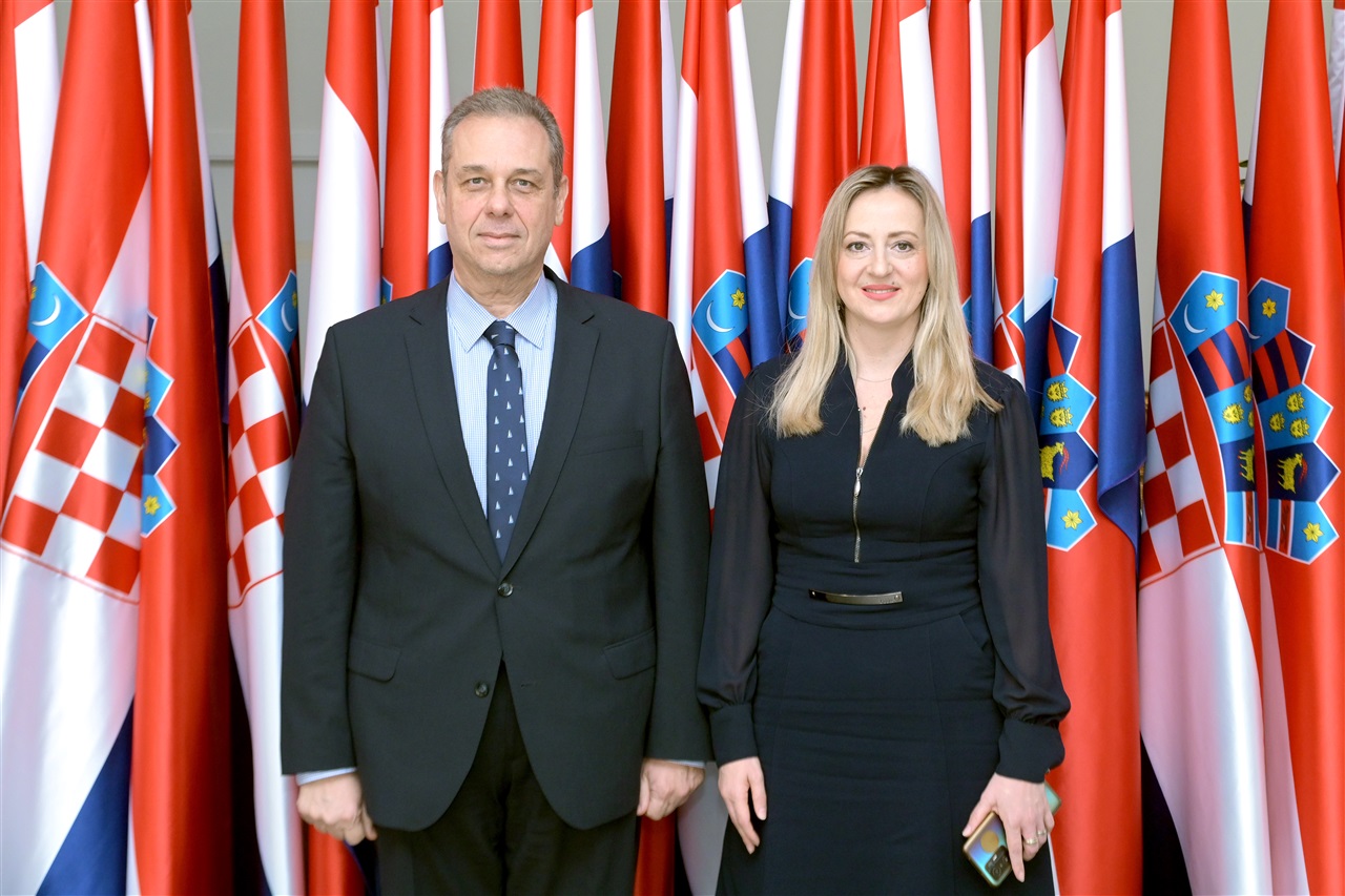 Συνάντηση του Πρέσβη της Ελλάδος στην Κροατία κ. Αθανάσιου Παρέσογλου με την Πρόεδρο της Ομάδας Φιλίας Κροατίας-Ελλάδας του κροατικού Κοινοβουλίου, κα Martina Vlasic Iljkic (03.02.2025)