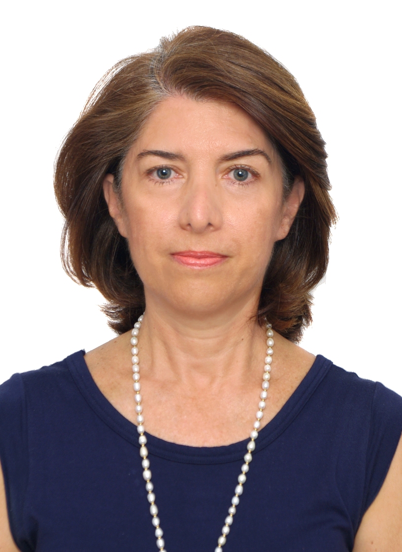 The Ambassador About the Embassy