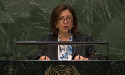 2015 Non Proliferation Treaty Review Conference - - Statement by Ambassador Dr. C. Boura 