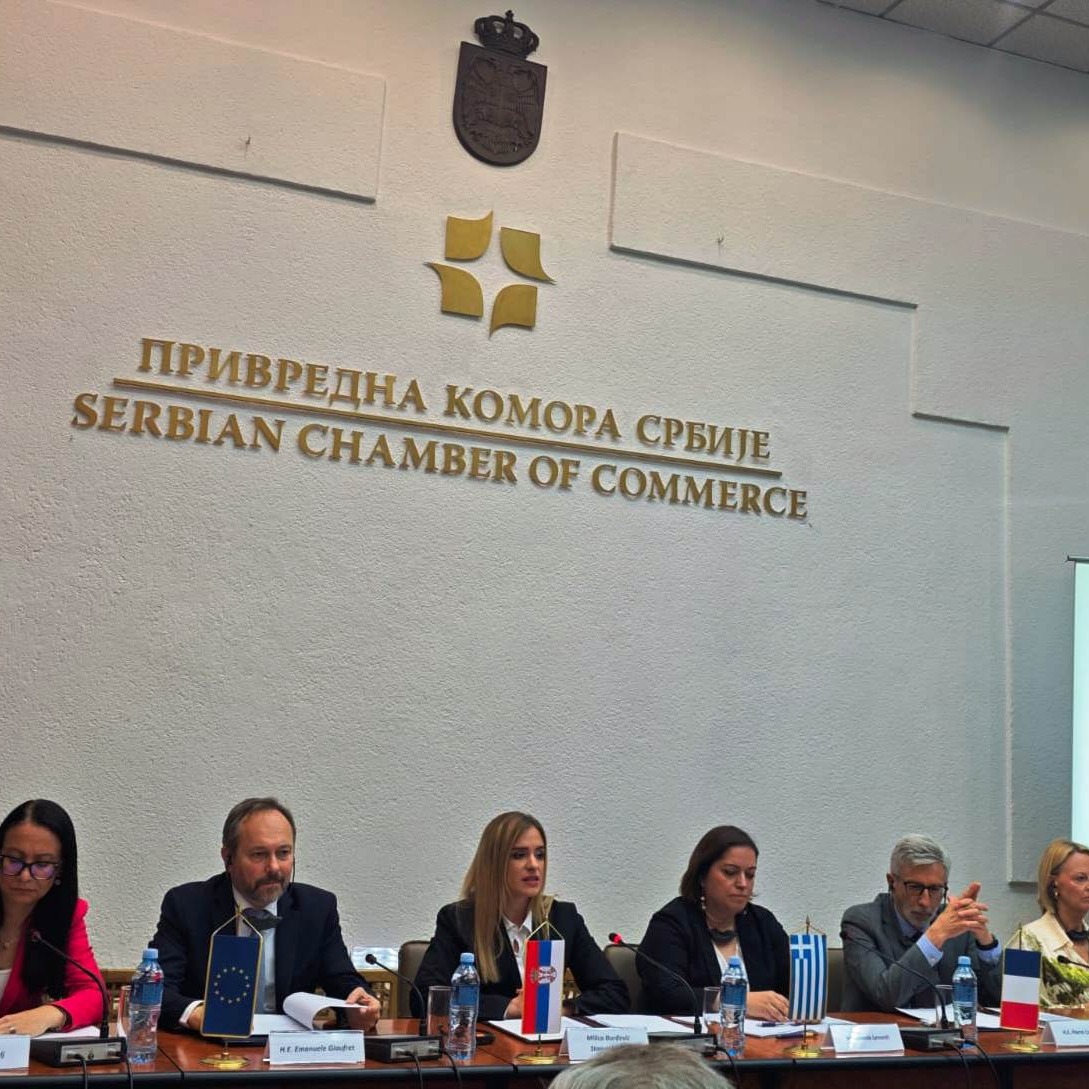  Συμμετοχή Πρέσβεως Ελλάδας στην παρουσίαση του προγράμματος «Support to Improving Working Conditions and Preparing the Republic of Serbia to Participate in the EURES Network» 