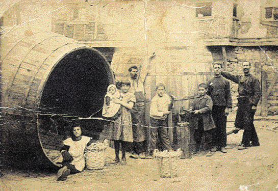 Anadolu'nun Ege kıyılarında asmalar ve şaraplar 2